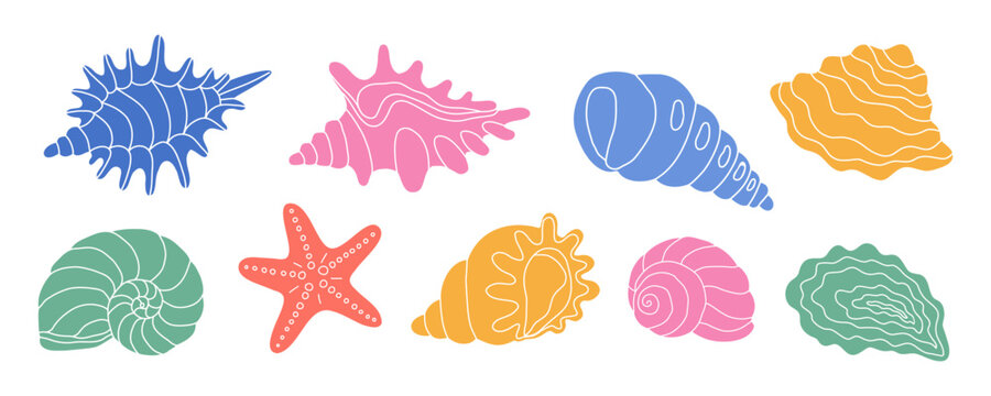 Sea shells set starfish and colorful ocean shell collection illustration. Marine beach summer decor objects. Hand drawn vector nautical nature graphics