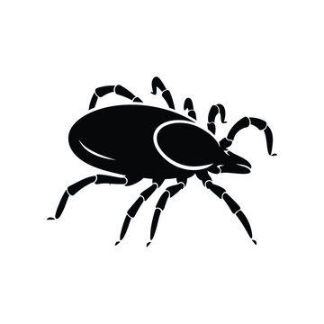 Tick silhouette on a white background black insect vector