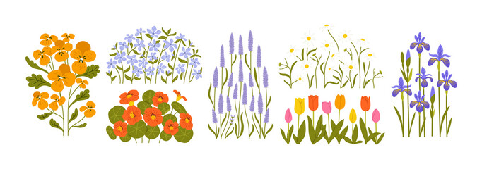 Fototapeta premium Beautiful natural flower plant drawing illustration set. Realistic hand drawn floral garden graphic element collection. Spring flora nature bundle includes pansy, lavender, tulip and iris flowers.
