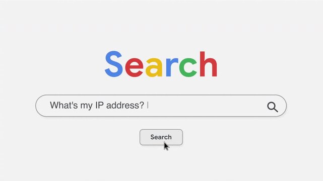 What's my IP address search prompt