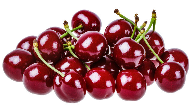 Pile of ripe dark red cherries with green stems, isolated on transparent background