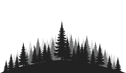 Coniferous forest silhouette with varying shades of gray and black against a white background silhouette high quality professional detailed modern elegant stylish clean crisp © Thysl2000