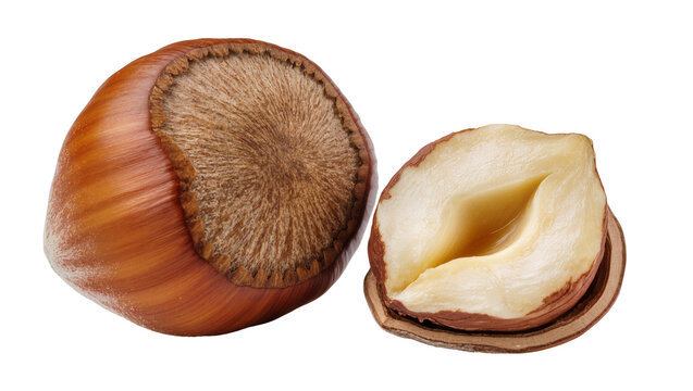 Whole hazelnut with textured shell and half hazelnut showing creamy interior, isolated on transparent background