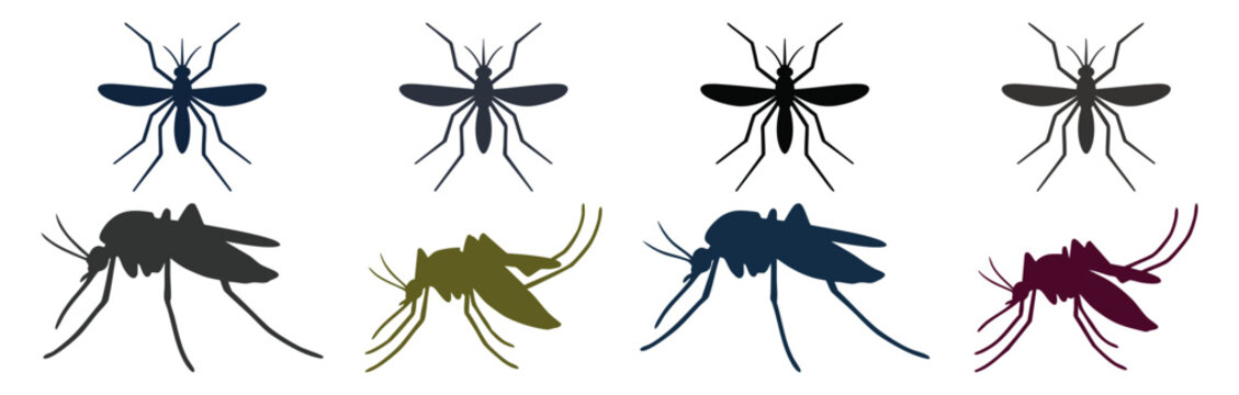 MOSQUITO ICON - Detailed silhouette of an Anopheles mosquito  Flat Vector Illustration on Transparent Background