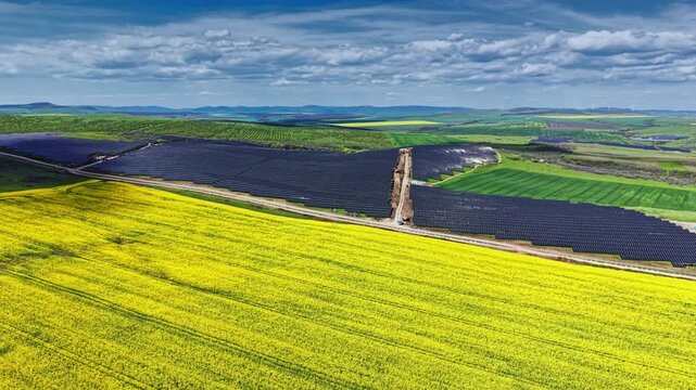 Workers install solar panels on a large area of farmland with green fields and patches of yellow flowers. The scene shows a clear sky with some clouds.