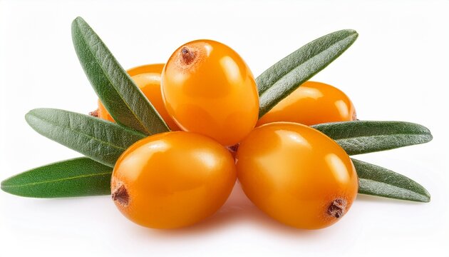 golden sea buckthorn berries with green leaves isolated white background