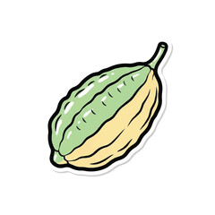 Fototapeta premium Green and Yellow Melon Fruit Illustration.
