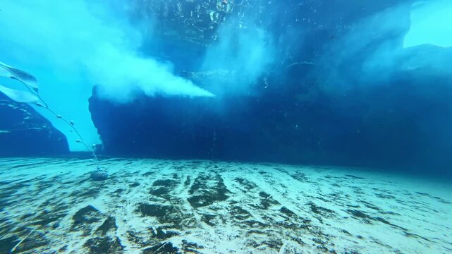 Sea lions move gracefully underwater around rocky structures while bubbles rise to the surface. Sunlight filters through the water, highlighting their playfulness.