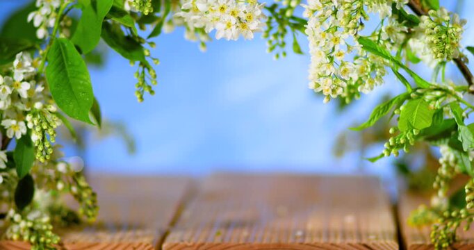 Radiant Flowers Embrace Weathered Deck Creating Cheerful Mood