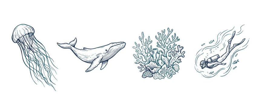 Ocean life elements set: jellyfish whale coral and diver in hand drawn vintage sketch style