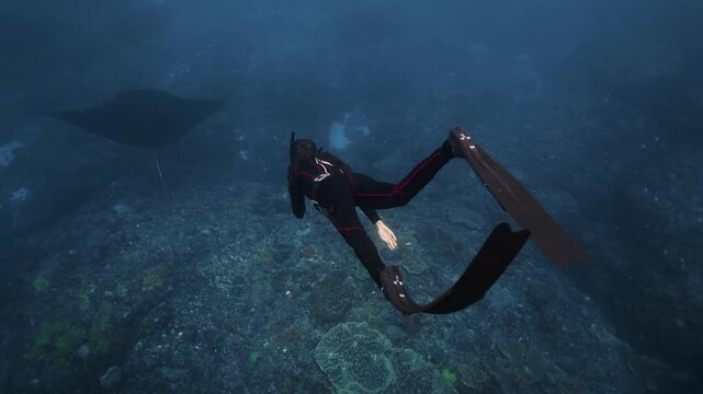Woman in long fins swims underwater with the giant oceanic manta ray. Graceful black Manta Ray glides through clear blue waters of Islands, accompanied by lively remora fish. Snorkeling freediving