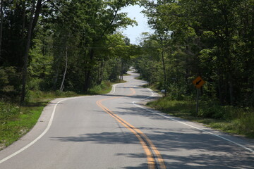 Obraz premium road to Northport in the forest