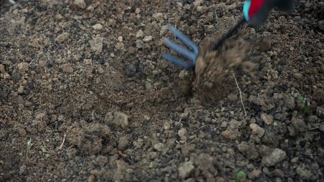 Ground tilling with a small hand hoe. Ground tilling. Home garden tilling