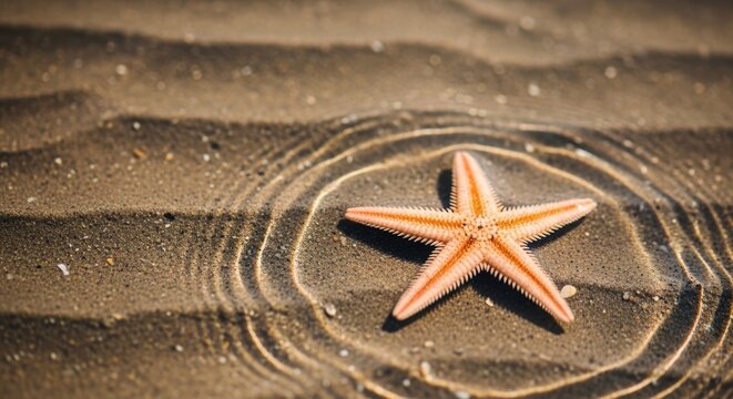 Starfish on Sandy Beach with Ripple Patterns