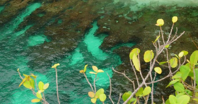 Close up turquoise water over underwater rocky seabed framed by coastal greenery at Broken beach Nusa Penida