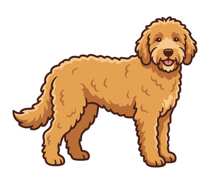 Cute fluffy goldendoodle dog standing alone simple cartoon illustration isolated on white background flat vector design.