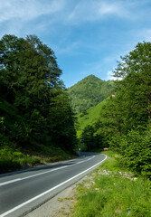 Fototapeta premium Winding road through lush green mountains under blue sky. Asphalt road curves through mountain landscape. This peaceful rural highway represents adventure, travel and the path to the future.