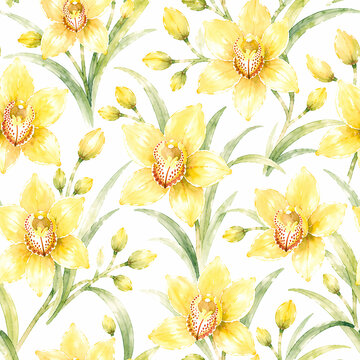 シンビジウム Images – Browse 903 Stock Photos, Vectors, and Video