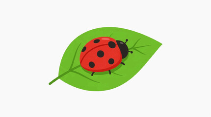 Naklejka premium A cheerful ladybug, adorned with its characteristic red shell and black spots, rests gently upon a vibrant green leaf, creating a simple, yet eye-catching illustration. 