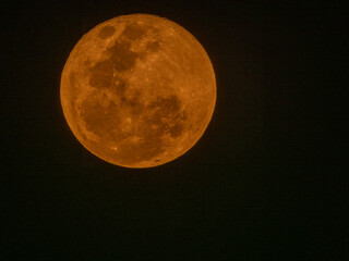 Close-up view of a bright orange full moon glowing against a dark night sky, detailed lunar surface visible, astronomy and celestial nature concept.  © ClaudioArnese