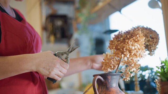 Hands trimming dried hydrangea into vase, home chef in apron styling rustic centerpiece by sunny window, copper pitcher and potted greens on countertop, cozy tabletop styling with vintage charm