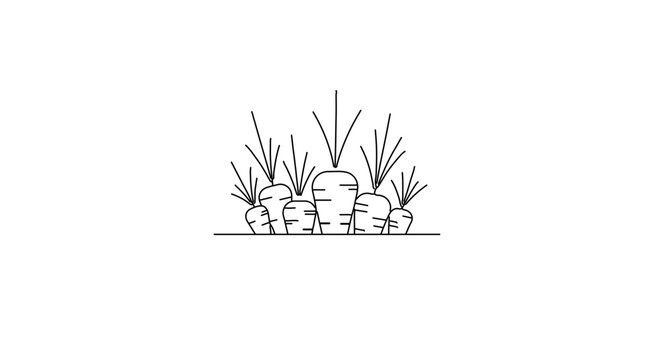 Hand drawn carrots growing in the ground, vector illustration