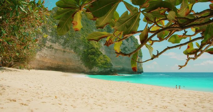 Tropical shore and turquoise ocean water at Kelingking Beach Nusa Penida Island