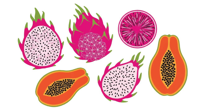 Vibrant illustration of dragon fruits and papayas cut open showcasing their interiors.