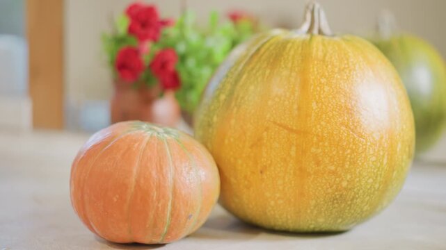 Food stylist styling pumpkins on kitchen counter, paired small orange pumpkin with larger green squash near vase of red flowers, soft bokeh and warm sunlight, tabletop centerpiece vibe, seasonal decor