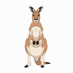 Mother Kangaroo with Joey in Pouch. © Yupi