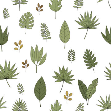 Variety of green leaves on white.