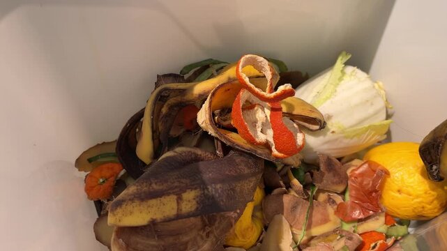 Placing food scraps into a compost bin. Composting organic food waste for producing fertile soil