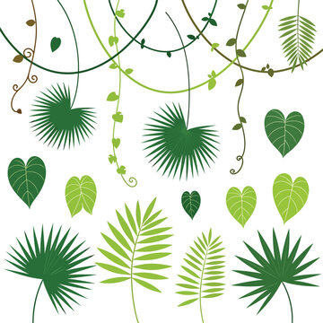 Collection of various green leaves shapes.