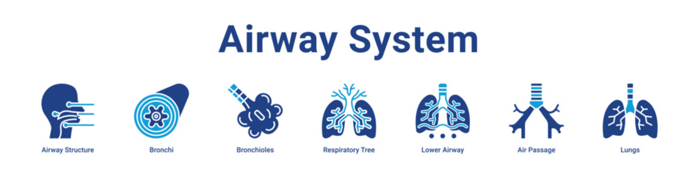 -Airway System web Icon Banner and Collection