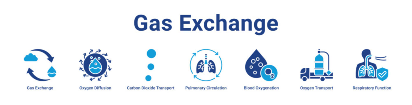 -Gas Exchange web Icon Banner and Collection