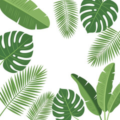 Tropical green leaves on white background 1. © Sumi
