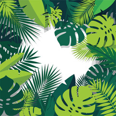 Collection of various green tropical leaves 1. © Makdum