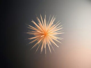 Fototapeta premium Vibrant orange firework explodes in night sky.