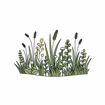 Variety of green grass and plants.