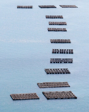 Aerial view of oyster farming rafts floating on the calm blue sea surface near the coast of Itoshima Peninsula, Itoshima, Fukuoka, Japan.