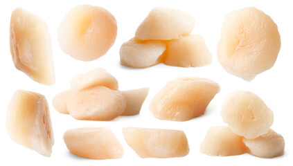 Fresh scallops isolated on white, set. Sea food © New Africa