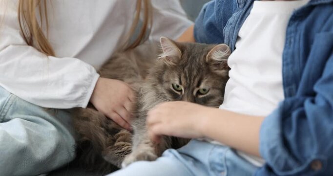 Kids with cute cat on sofa at home, camera moving in. Adorable pet
