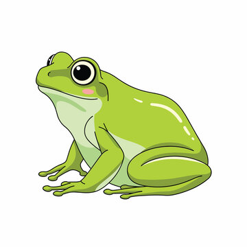 Green Frog Sitting on Ground Looking.