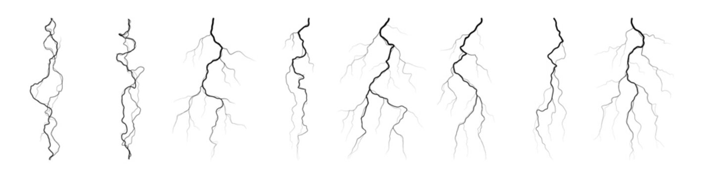 Abstract artistic line drawings of branching tree roots and organic vines growing patterns on transparent background