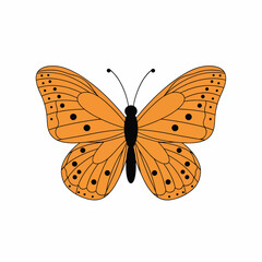 Detailed Orange Butterfly with Black Spots. © Masini