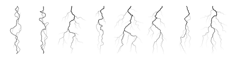 Abstract artistic line drawings of branching tree roots and organic vines growing patterns on transparent background © FamousDesignMarket