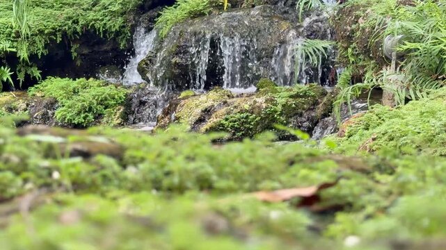 Mini waterfalls  in the garden cozy and relax