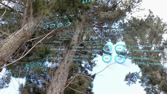 Camera tilting upward, cyan data overlays shifting and updating across pine trunks, showing metrics