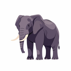 Fototapeta premium Large Gray Elephant with Tusks Standing.
