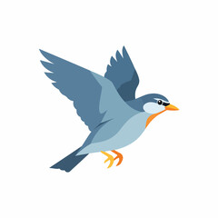 Obraz premium Bird in Flight with Orange Beak 1.